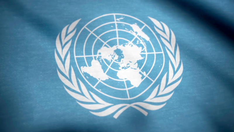 United Nations flag